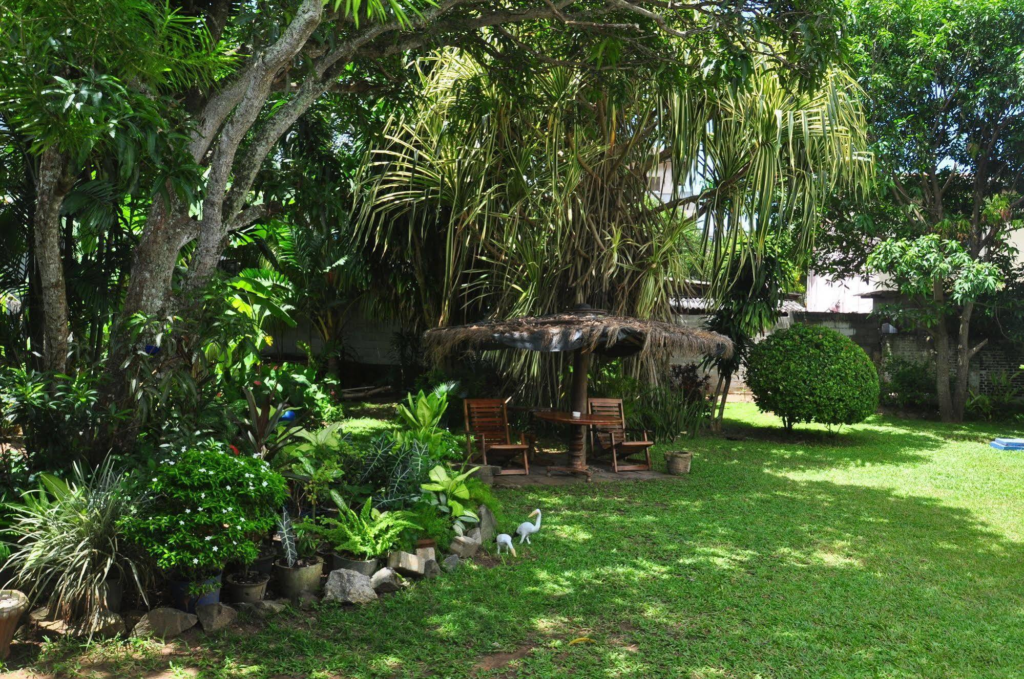 Dehiwala-Mount Lavinia Blue Seas Guest House מראה חיצוני תמונה