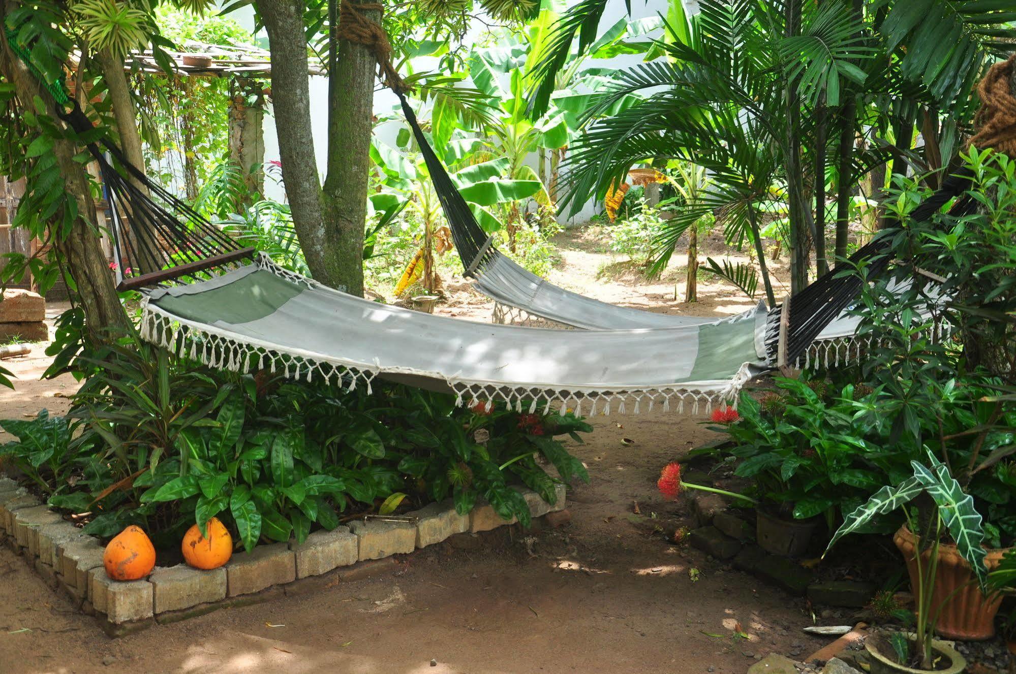 Dehiwala-Mount Lavinia Blue Seas Guest House מראה חיצוני תמונה